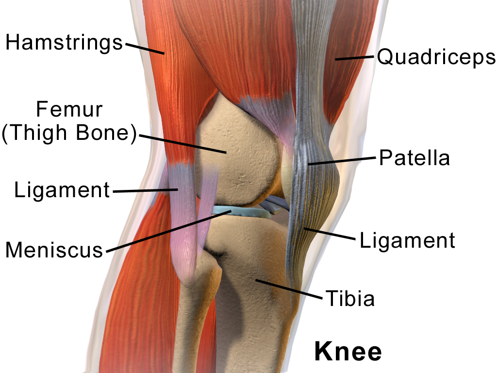 Squatting: Good for Your Knees?