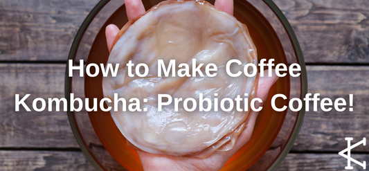 How to Make Coffee Kombucha: Probiotic Coffee!